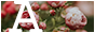 archived 88x31 button #33190