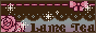 lametea.gif