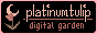 platinumtulip.gif