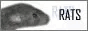 f16.gif