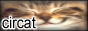 4EErxcP.png