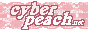 3.08.png