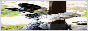 archived 88x31 button #72551