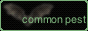 commonpestbuttonstatic.gif