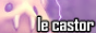 castor_banner.png