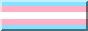 transgender%20button.jpg