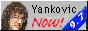 88x31yankovicnow.gif