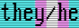 pronoun-vga-they-he-trans.png