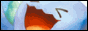 stickersarefun.png