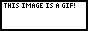 anim.gif
