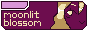 moon.gif