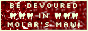 molars.png