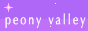n-pi.png