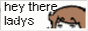 sumsluvshyenaz.png