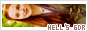 archived 88x31 button #73370