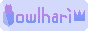 owlhari.gif