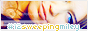 archived 88x31 button #73407