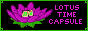 timecapsule.png