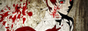 archived 88x31 button #73564