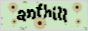 anthill.png