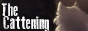 0h3txRC.png