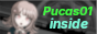 buttonpucas.png