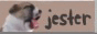 Jcjg8iJ.gif