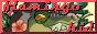 flamingokid1.png