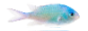 button.gif%20(5).png