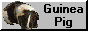 archived 88x31 button #74420
