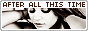 archived 88x31 button #74497