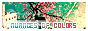 archived 88x31 button #74512