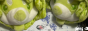 xx_peng.png