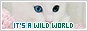 archived 88x31 button #74740