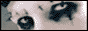 aHu0WhtX_o.gif
