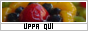 archived 88x31 button #33380