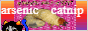 arseniccatnipp.png