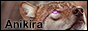 archived 88x31 button #74917