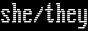 pronoun-vga-she-they.png