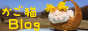 archived 88x31 button #74975