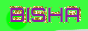 bisha_button.gif