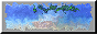 i-land-button8.png