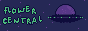 flowercentral_3.gif