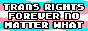 transrights.png