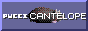 puccicantelope.gif