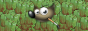 gimp.png