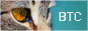 archived 88x31 button #75278