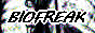 softatrocitynekoweborg001.png