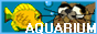 aquariumbutton.png