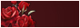 88x31button.jpg